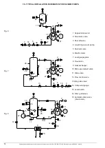 Preview for 14 page of Pompetravaini SA Series Operating Manual