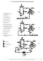 Preview for 15 page of Pompetravaini SA Series Operating Manual