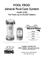 Pool Frog 6100 Manual preview