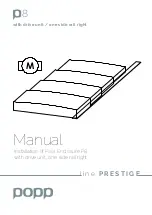 Popp p8 Manual preview