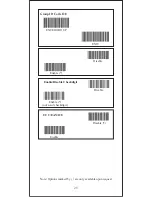 Предварительный просмотр 26 страницы POS-X Xi1000 Programming Manual