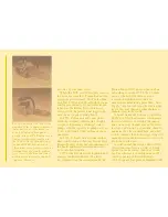 Preview for 13 page of Poulan Pro 3400 Conter-Vibe Brochure