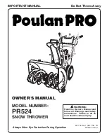 Poulan Pro 421104 Owner'S Manual preview