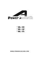 Preview for 1 page of Power Acoustik BL-10 User Information