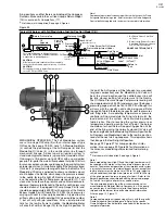 Preview for 7 page of Power Flame C1-GO-10 Installation And Operation Manual