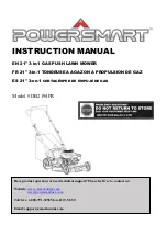 Power smart DB2194PR Instruction Manual preview