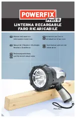 Preview for 1 page of Powerfix PMA25A1 User Manual And Service Information