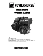 Powerhorse 45749 Owner'S Manual preview