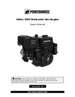 Powerhorse 750122 Owner'S Manual preview