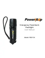 PowerItUp PBSF-5K User Manual preview