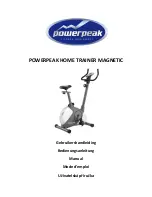 PowerPeak FHT8313 Manual preview