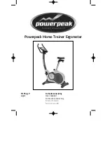 PowerPeak FHT8325P User Manual preview