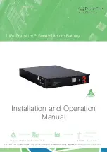 PowerPlus Energy LiFe Premium P Series Installation And Operation Manual предпросмотр