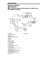 Предварительный просмотр 12 страницы PowerTec 40Hp Owner'S Manual