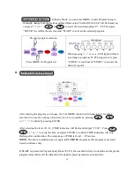 Preview for 15 page of PowerTrainer PT-333 Owner'S Manual