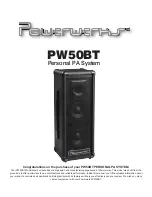 Preview for 1 page of Powerwerks PW100BT User Manual