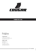 Preview for 12 page of Pragma COUGAR C049.002.00 Instruction Manual