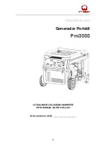 Preview for 53 page of Pramac Pmi3000 Operator'S Manual