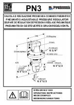 Preview for 1 page of Pratissoli PN3 Manual