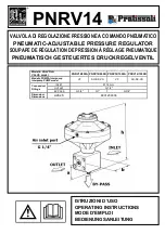 Pratissoli PNRV14 Manual preview