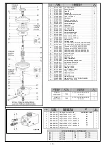 Preview for 3 page of Pratissoli PNRV14 Manual