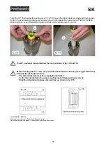 Preview for 39 page of Pratissoli SK Series Repair Manual