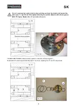 Preview for 41 page of Pratissoli SK Series Repair Manual