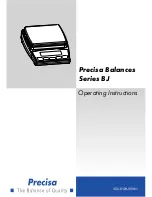 Precisa 165 BJ Series Operating Instructions Manual предпросмотр