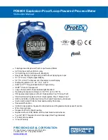 Precision Digital Corporation ProtEx Pro PD6800 Instruction Manual preview