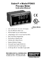 PRECISION DIGITAL PD603 Instruction Manual preview