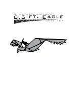 Preview for 1 page of Premier designs 6.5 Ft. Eagle User Manual