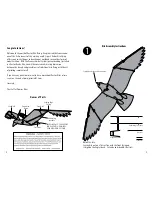 Preview for 2 page of Premier designs 6.5 Ft. Eagle User Manual