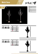 Prilux Birch Tree 390866 Quick Start Manual preview