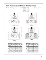 Предварительный просмотр 10 страницы Primary fluid systems ECO-110 Instruction Manual