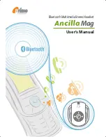 Предварительный просмотр 1 страницы Prime Ancilla Mag User Manual