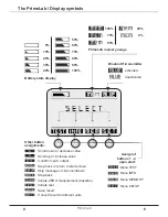 Preview for 7 page of PrimeLab 1.0 MULTITEST User Manual