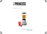 Princess 212070 Instruction Manual preview