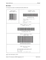 Preview for 234 page of Printronix S828 Programmer'S Manual