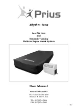 Prius Healthcare USA Rhythm Turn User Manual preview