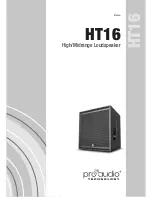 Pro Audio HT16 Manual предпросмотр