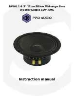 Preview for 1 page of Pro Audio PAW6.1 Instruction Manual