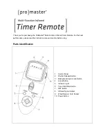 pro master Timer Remote User Manual preview