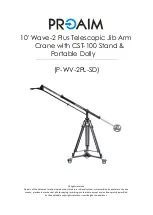 Preview for 1 page of PROAIM P-WV-2PL-SD Instruction Manual