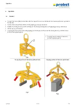 Предварительный просмотр 44 страницы probst 53100370 Operating Instructions Manual