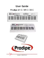 Prodipe 25 C User Manual preview