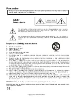 Preview for 2 page of Prodipe M–85 LANEN User Manual