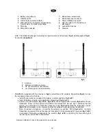 Preview for 19 page of PROEL FREE50V2 Instruction Manual