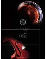 PROEL STRING AND WIND INSTRUMENT - Brochure preview