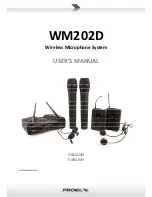 PROEL WM202D User Manual предпросмотр