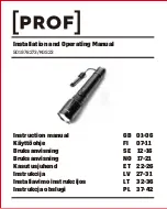 Preview for 1 page of PROF 501978273 Instruction Manual